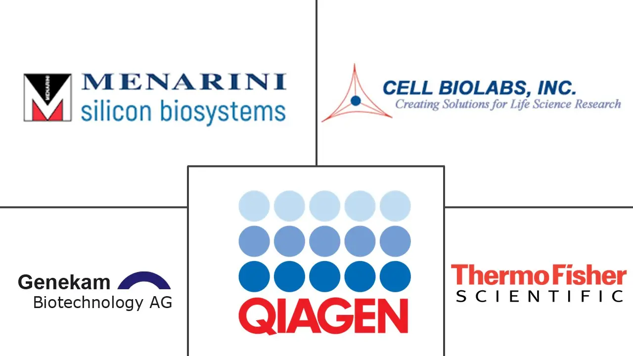 肿瘤追踪系统市场规模