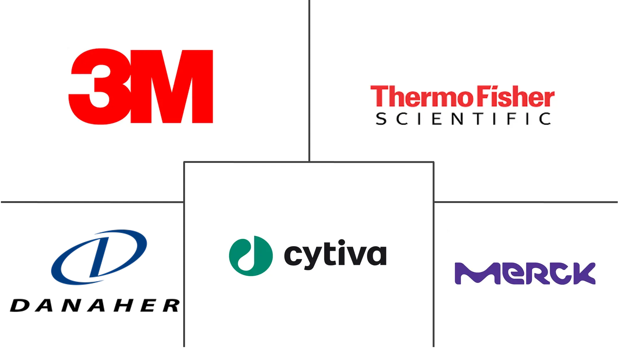 膜过滤器市场规模