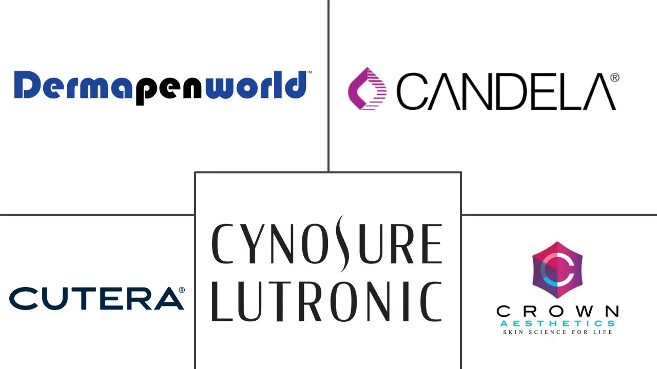 微针市场规模和份额