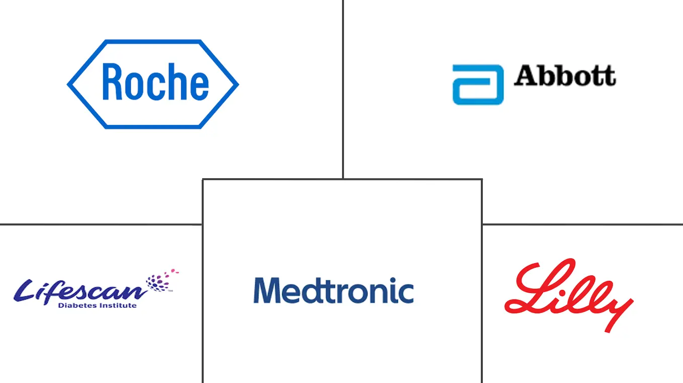 拉丁美洲糖尿病护理设备市场规模