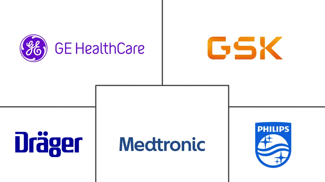 智利呼吸设备市场规模