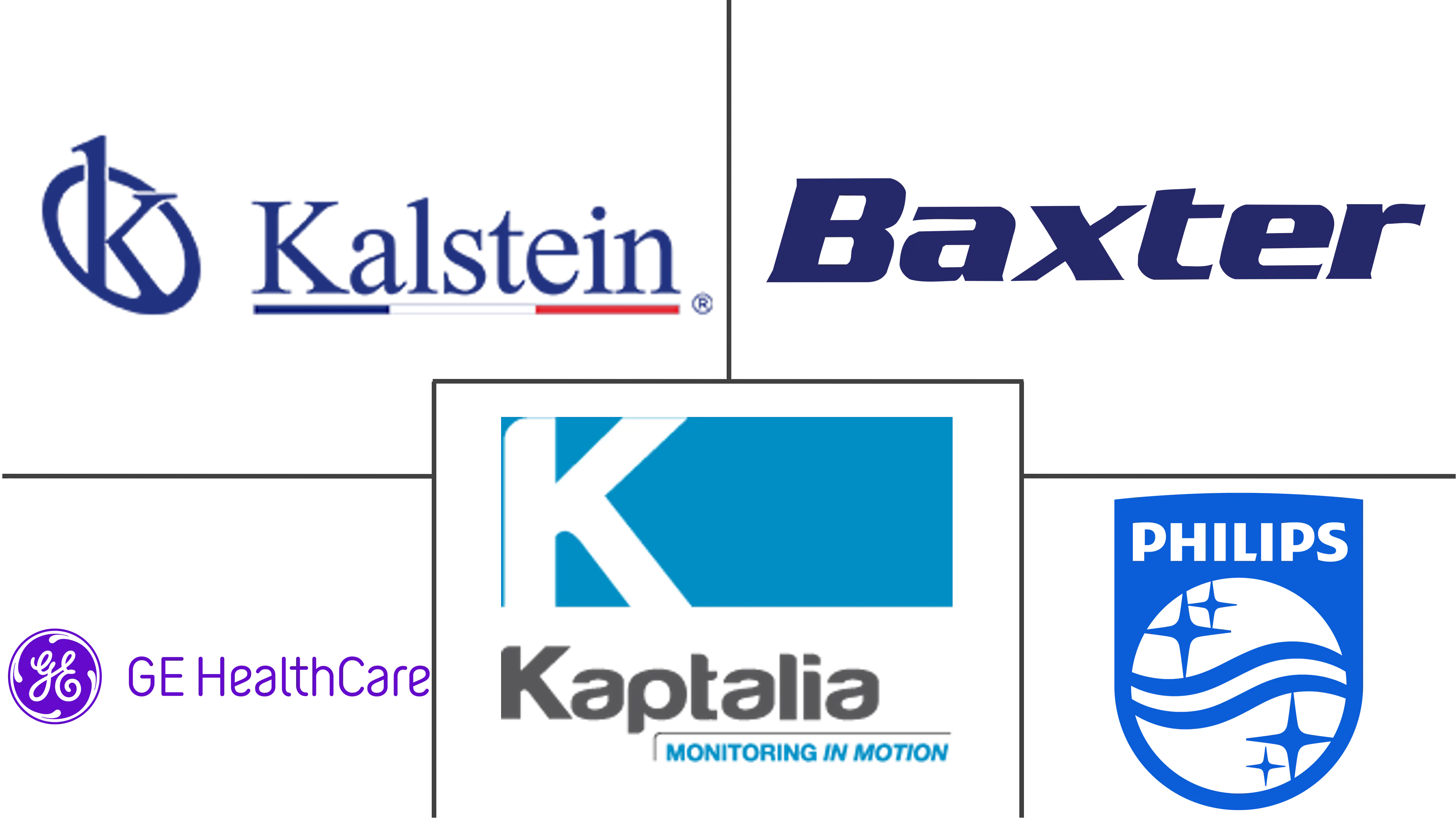 法国患者监护市场规模