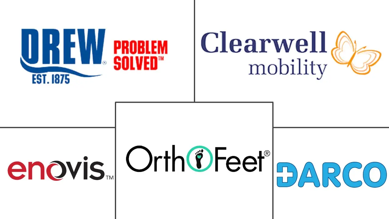 医用鞋类市场规模及份额