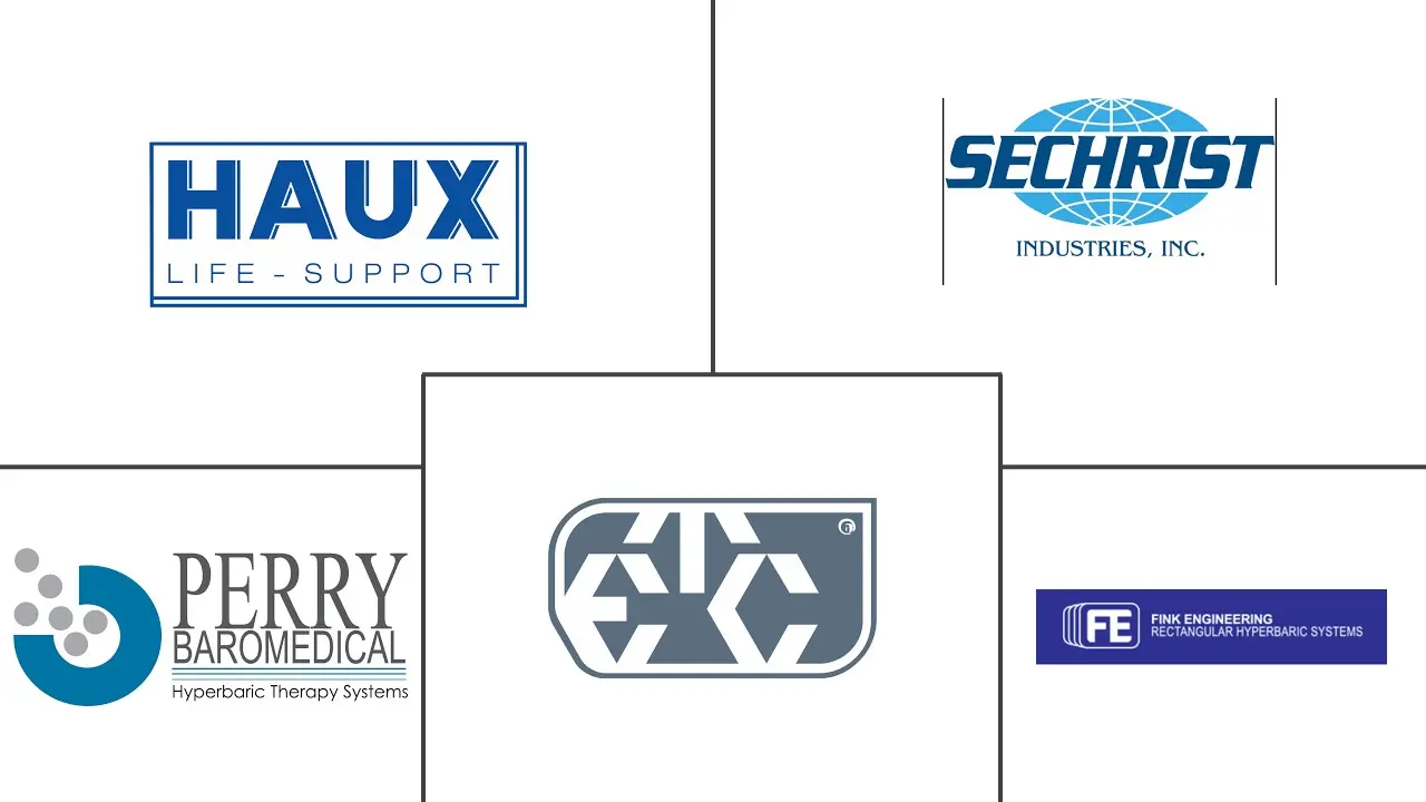 高压氧治疗设备市场规模及份额