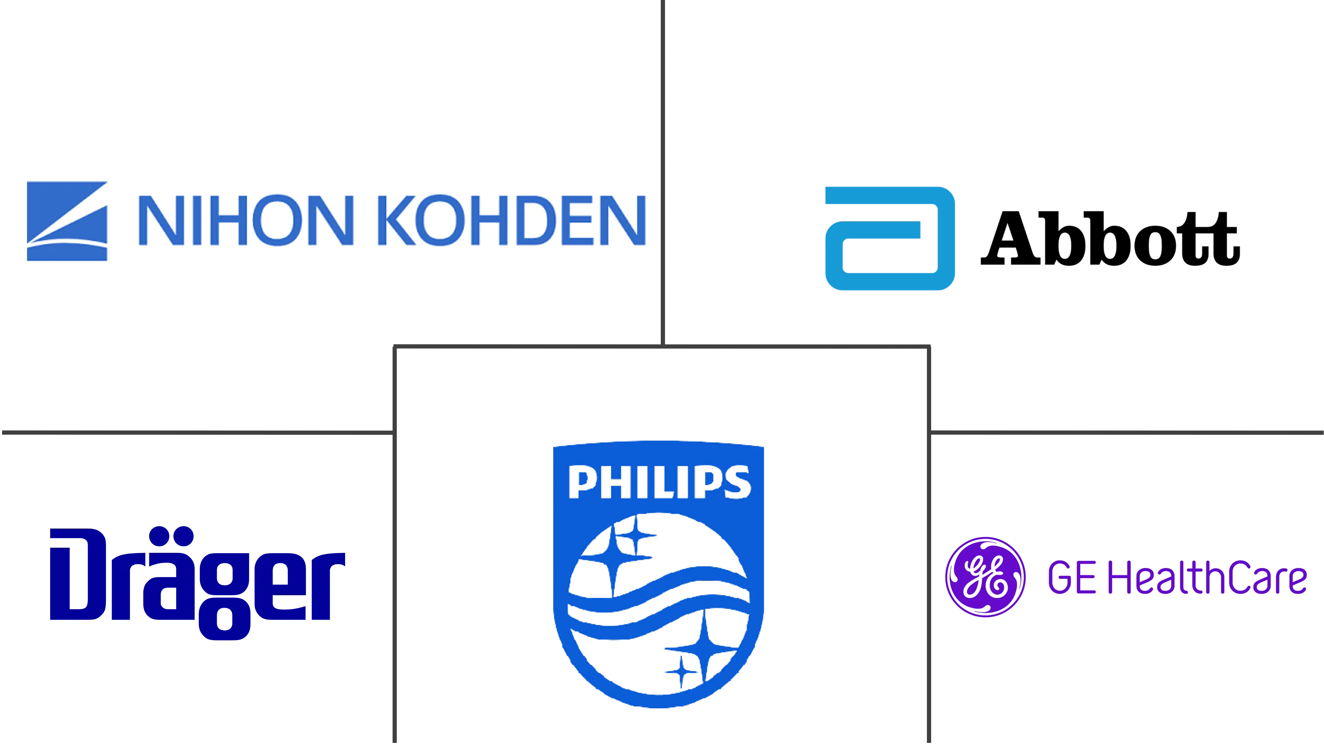 墨西哥患者监护市场规模