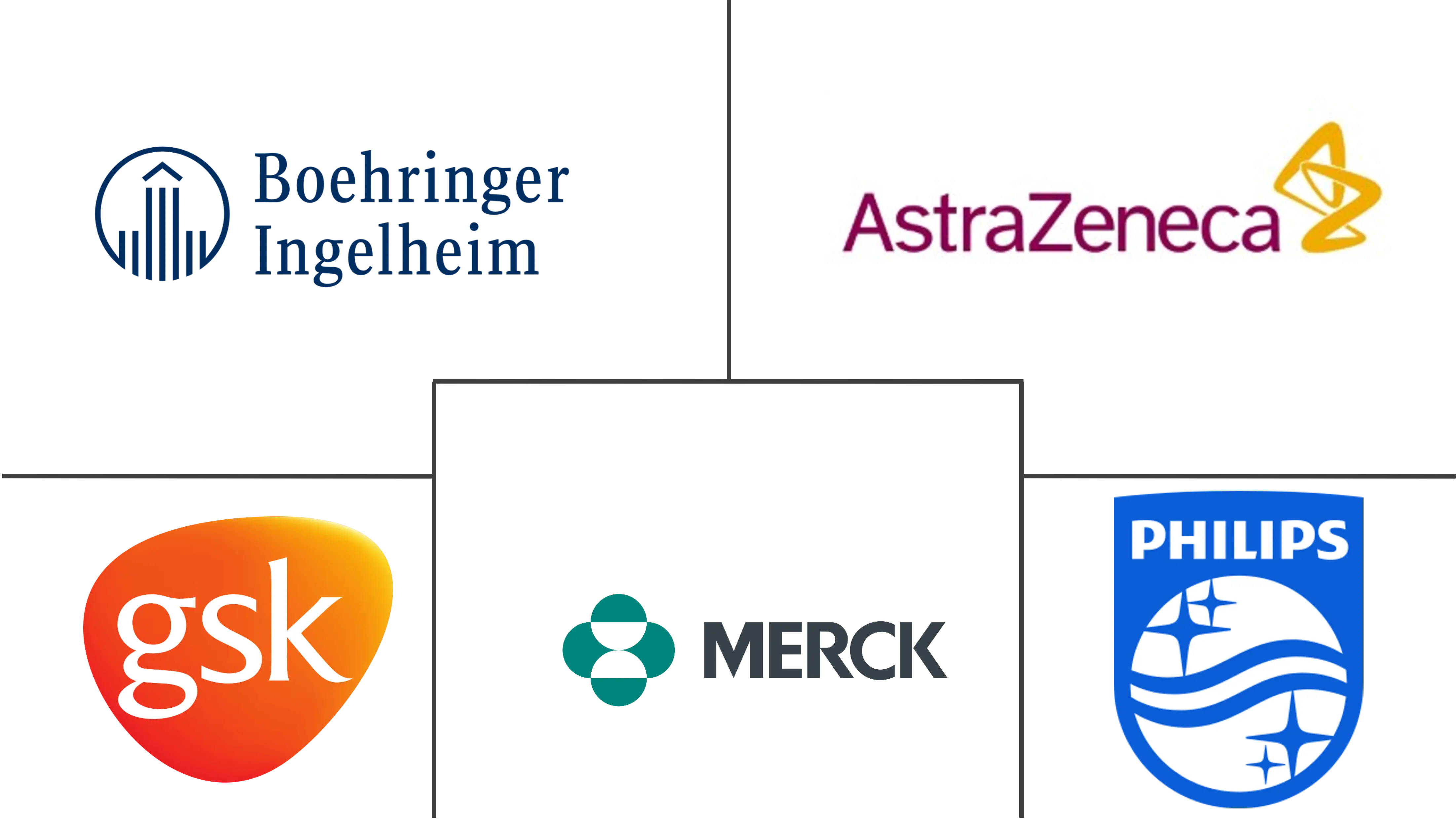 哮喘和慢性阻塞性肺病设备市场规模和份额