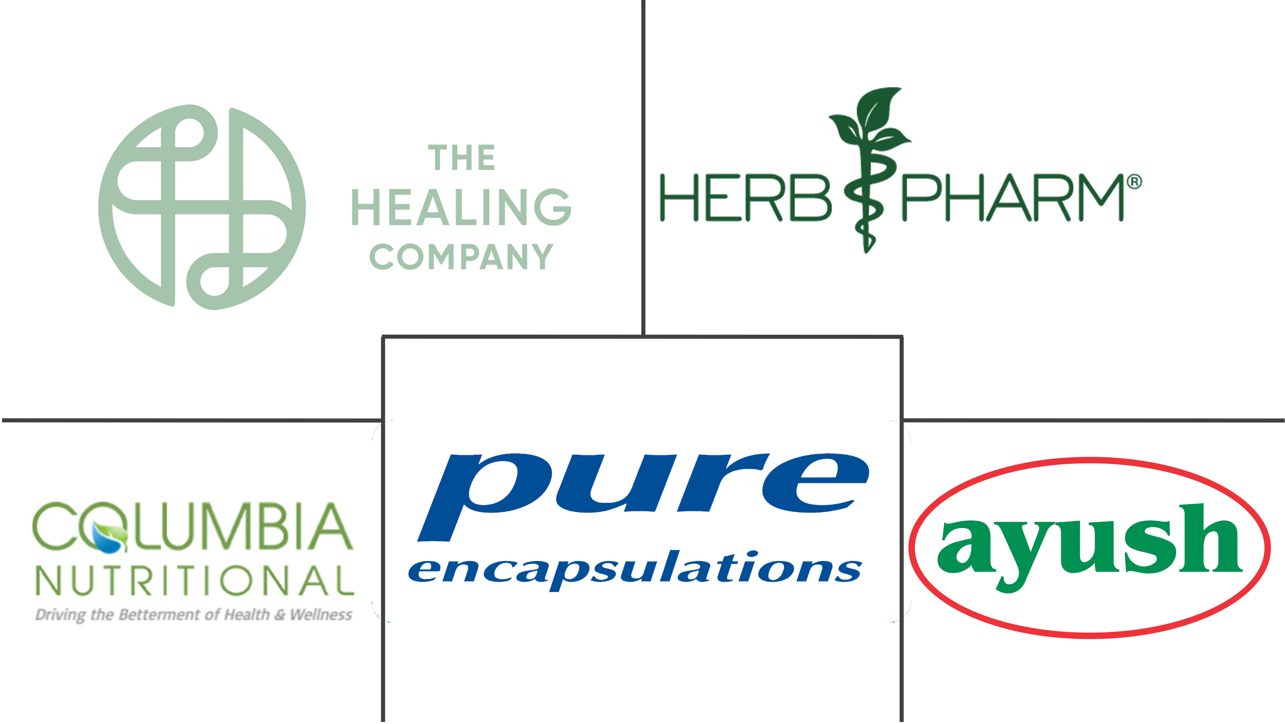 补充和替代药物市场规模和份额