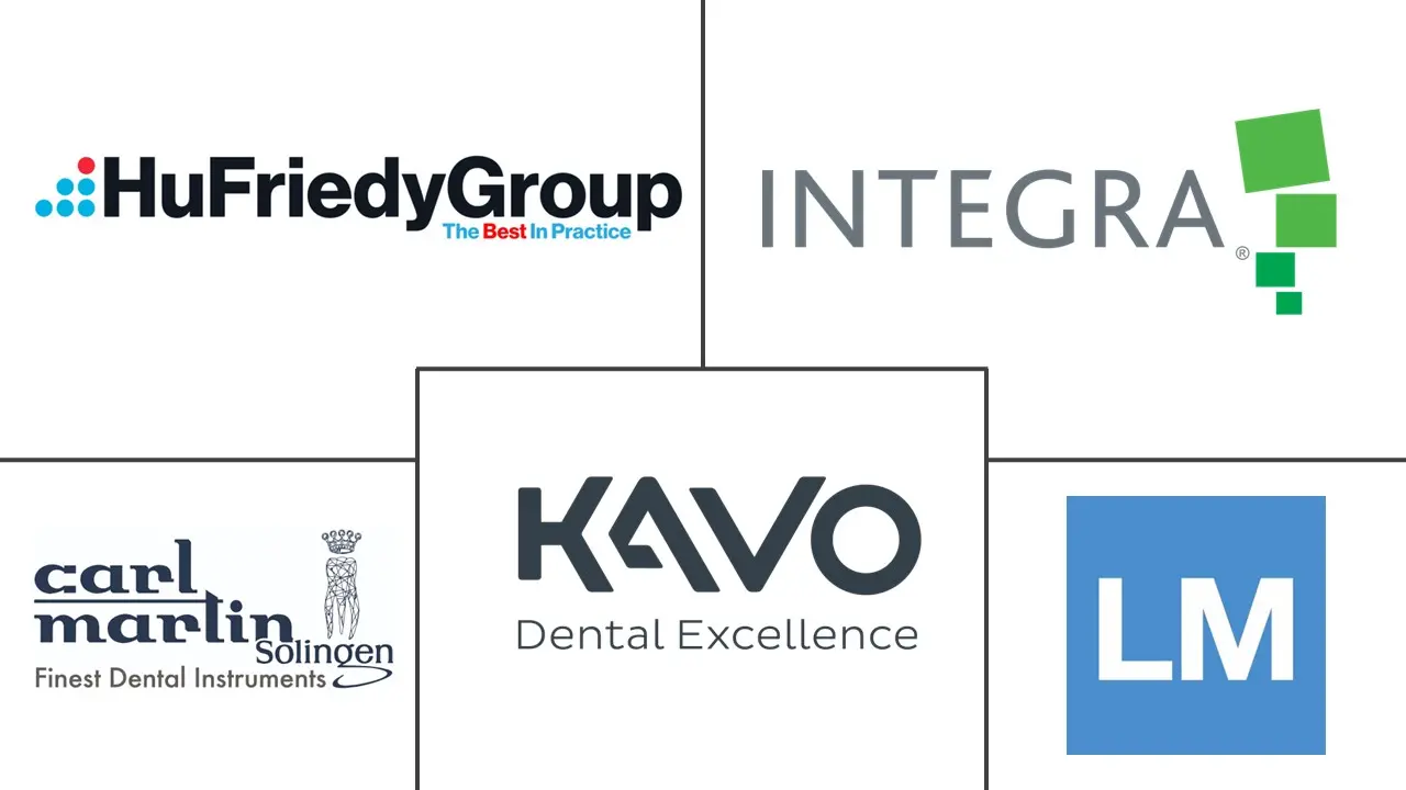 牙科镜子市场规模和份额