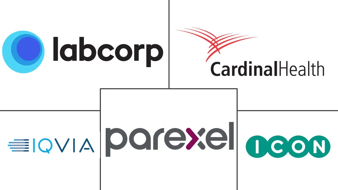 医学写作市场规模和份额