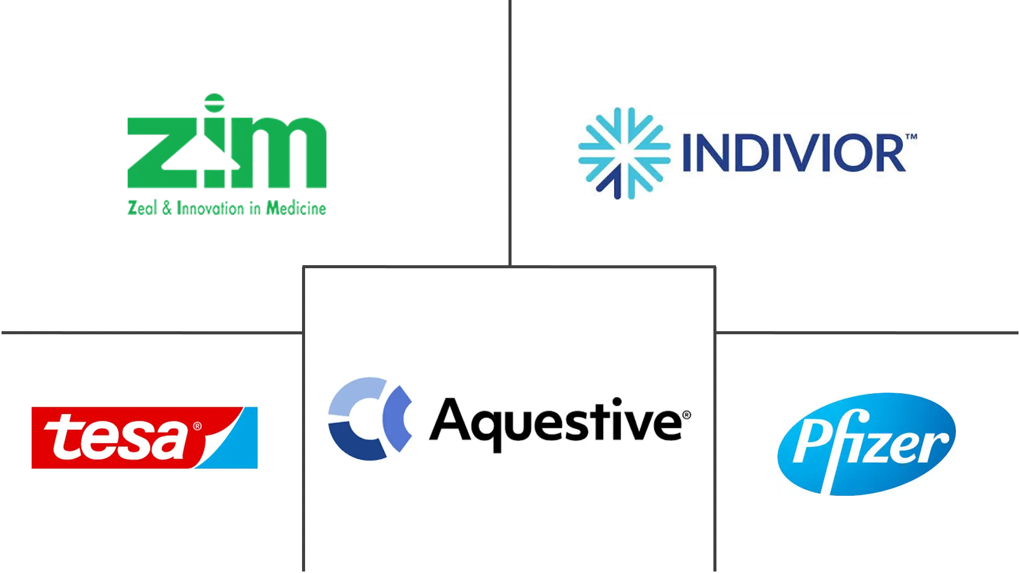 薄膜药物市场规模和份额