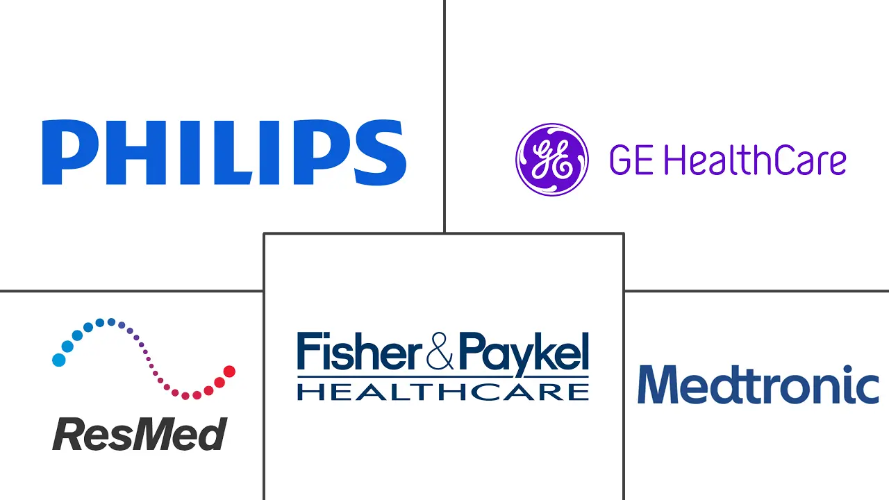 西班牙呼吸设备市场规模和份额