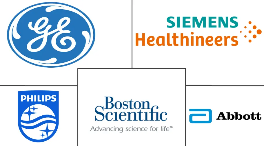 南美患者监护市场规模