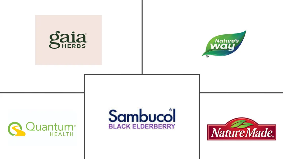 接骨木浆果补充剂市场规模