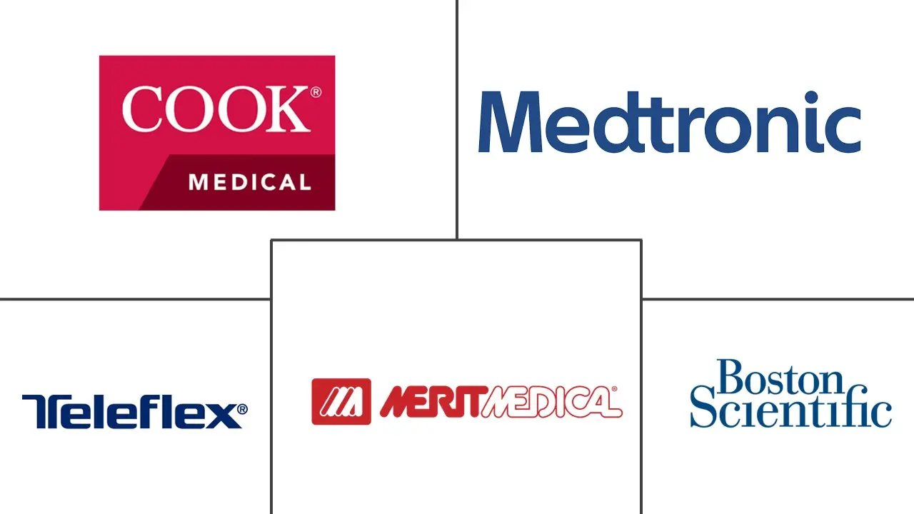 血管圈套器市场规模和份额