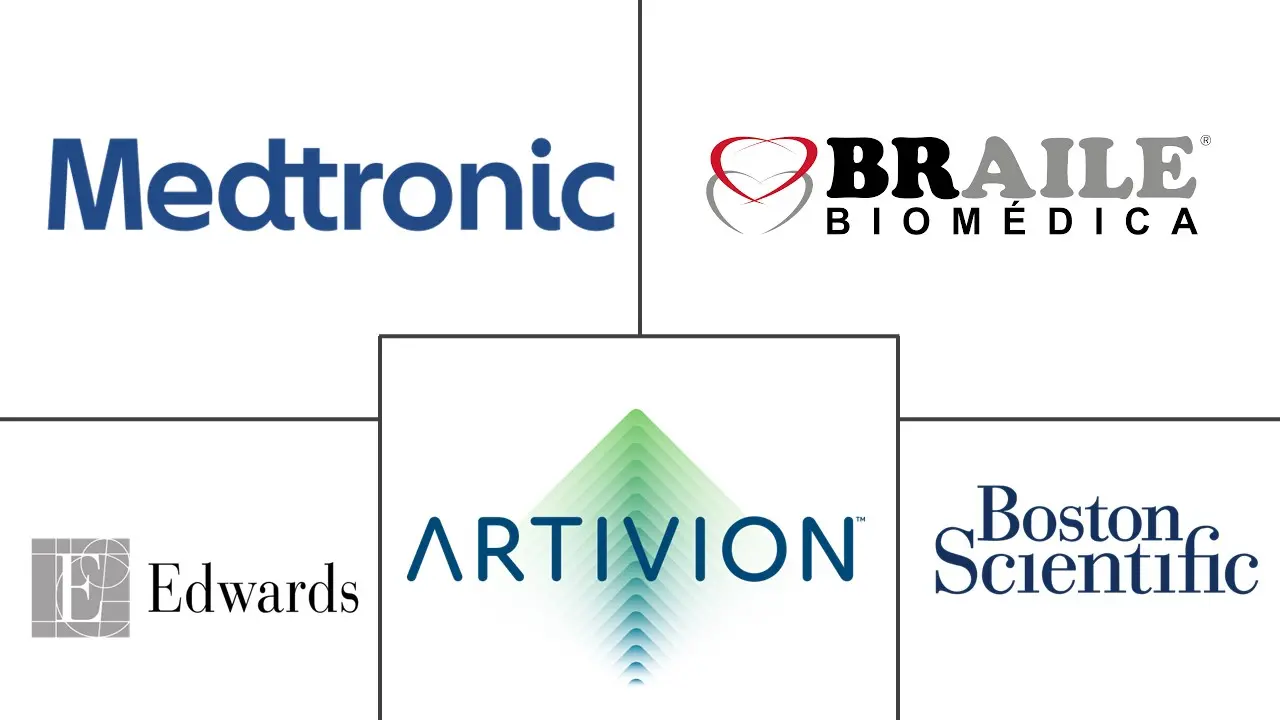 经导管肺动脉瓣市场规模和份额