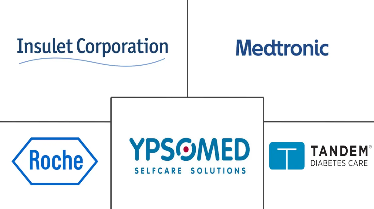 德国胰岛素输液泵市场规模