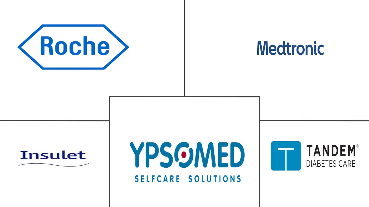 亚太地区胰岛素输液泵市场规模