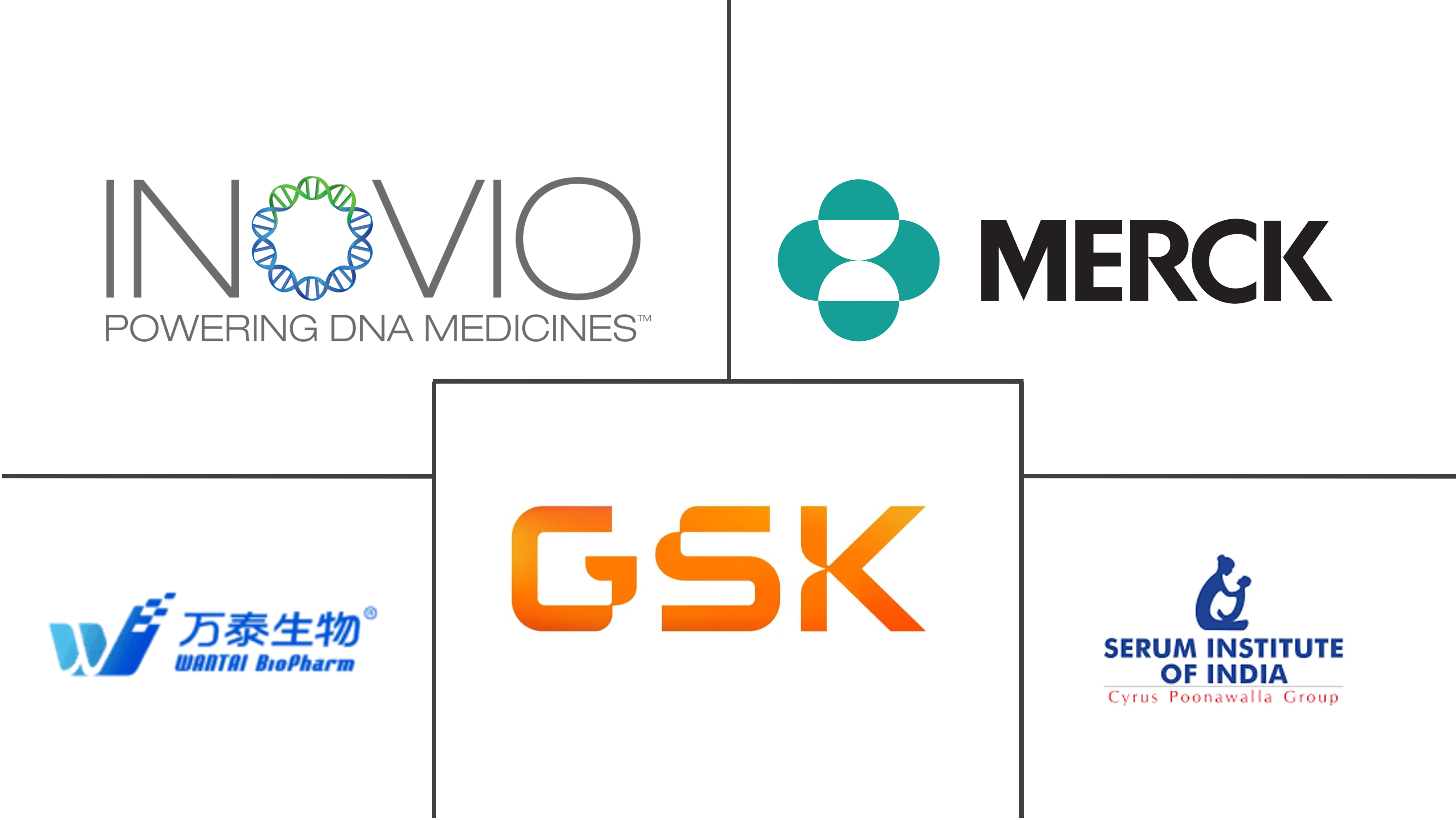 人乳头瘤病毒疫苗市场规模和份额