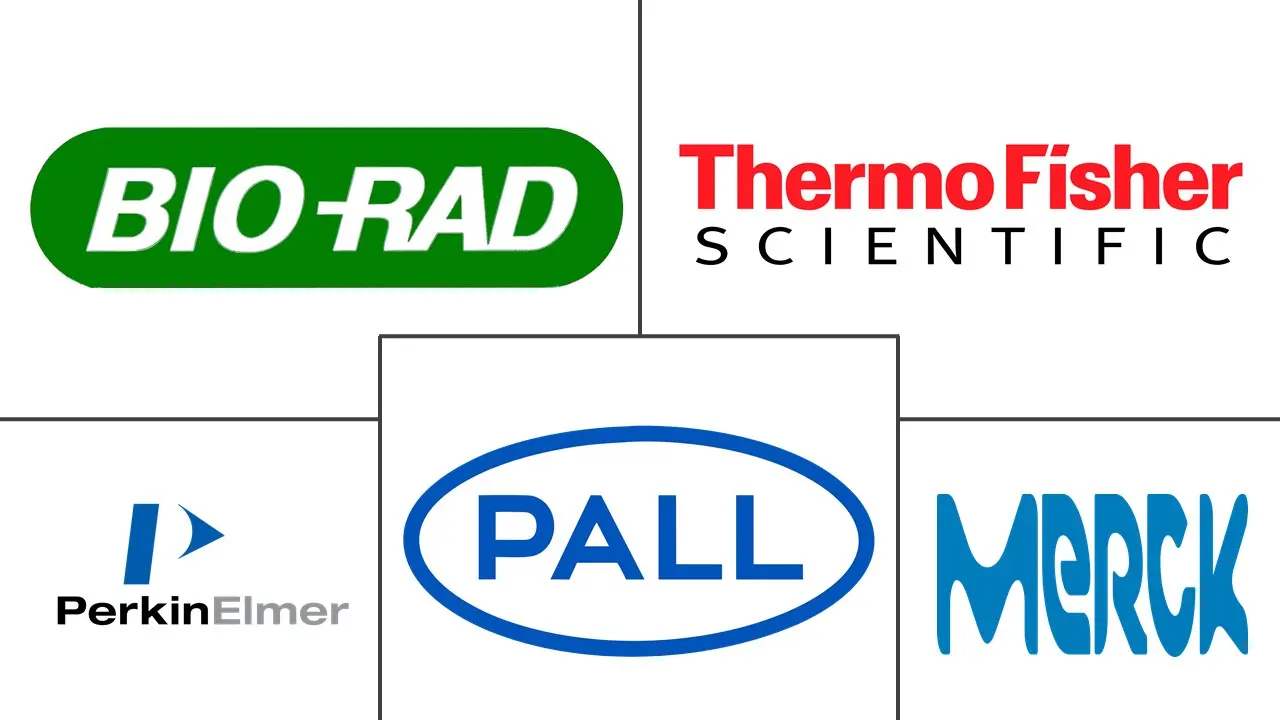 转移膜市场规模