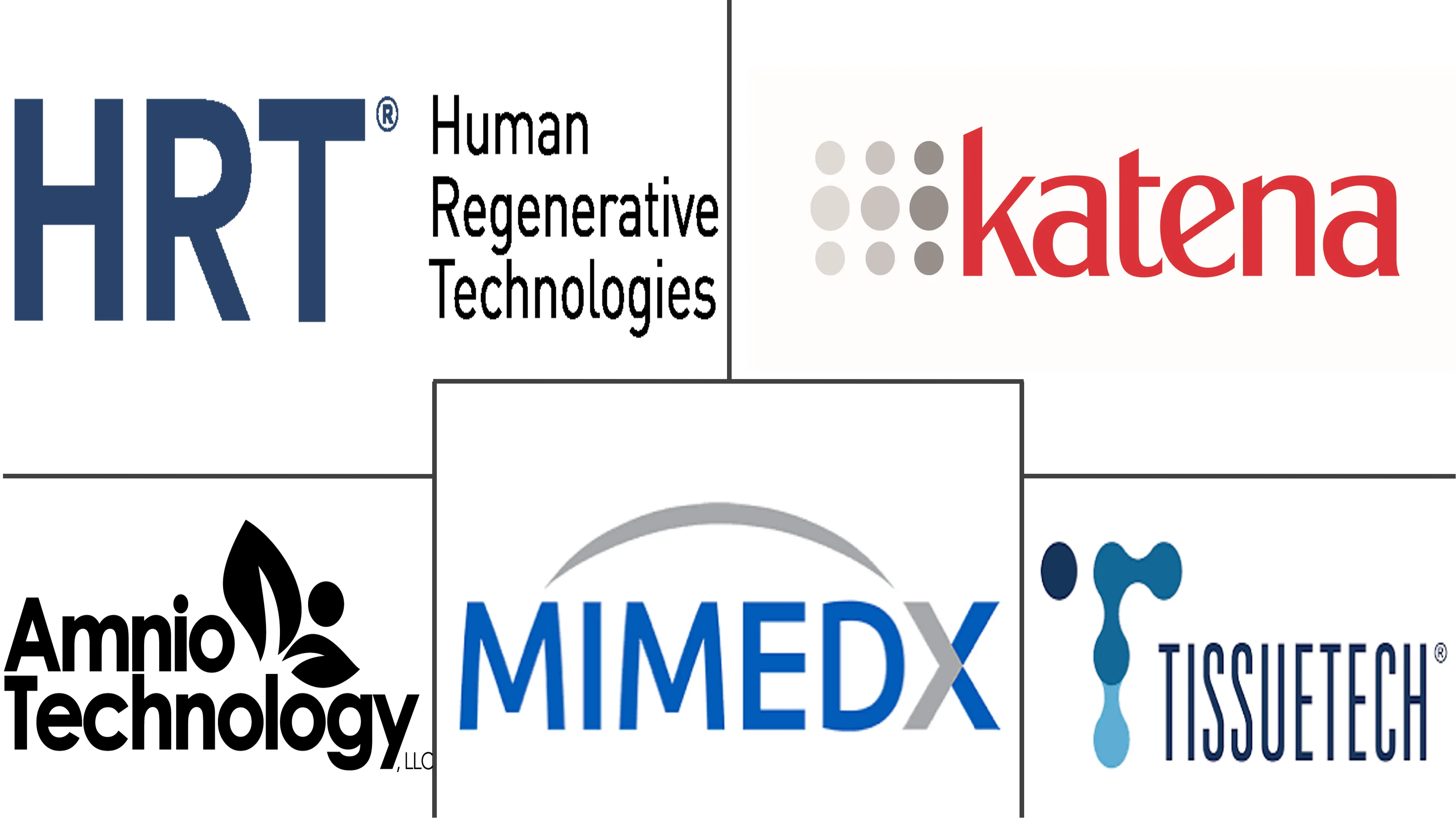 羊膜市场规模和份额