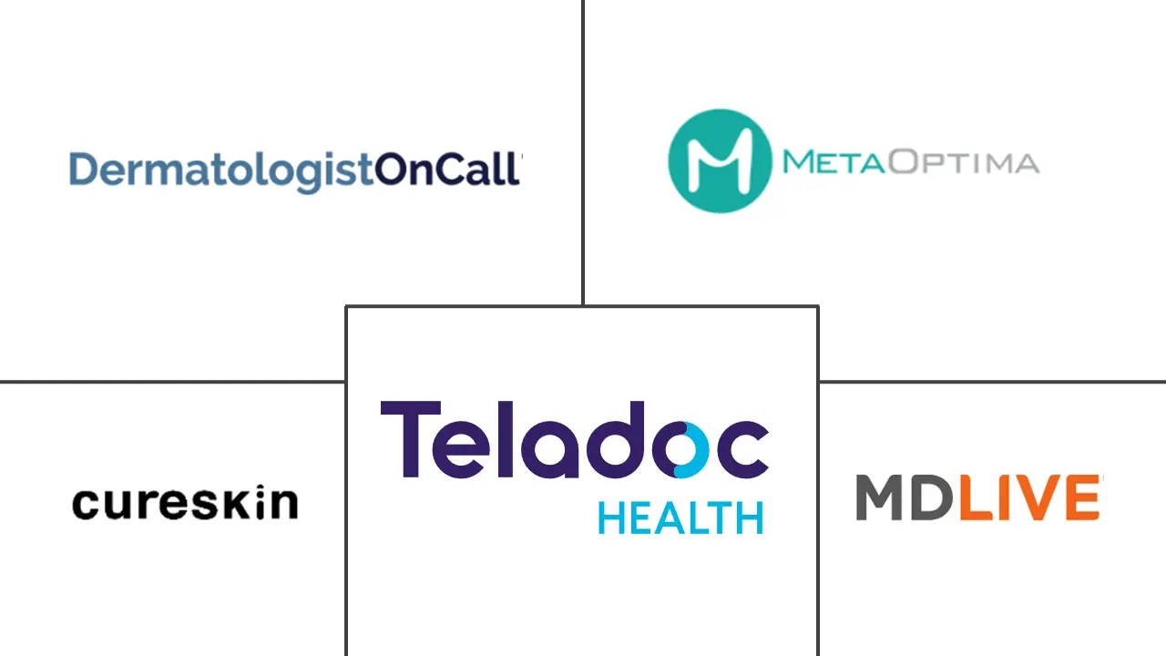 远程皮肤科市场规模