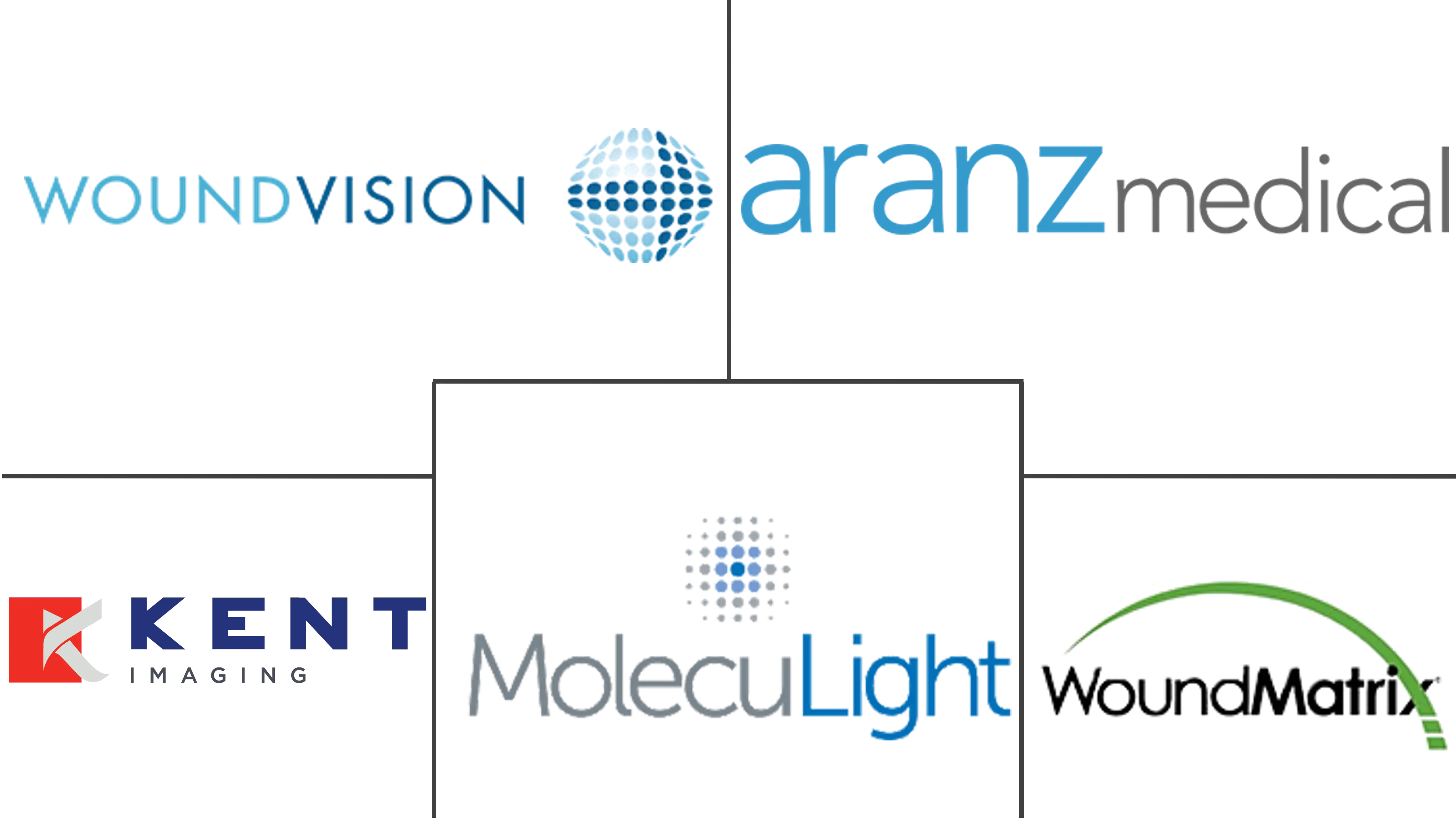 数字伤口测量设备市场规模和份额