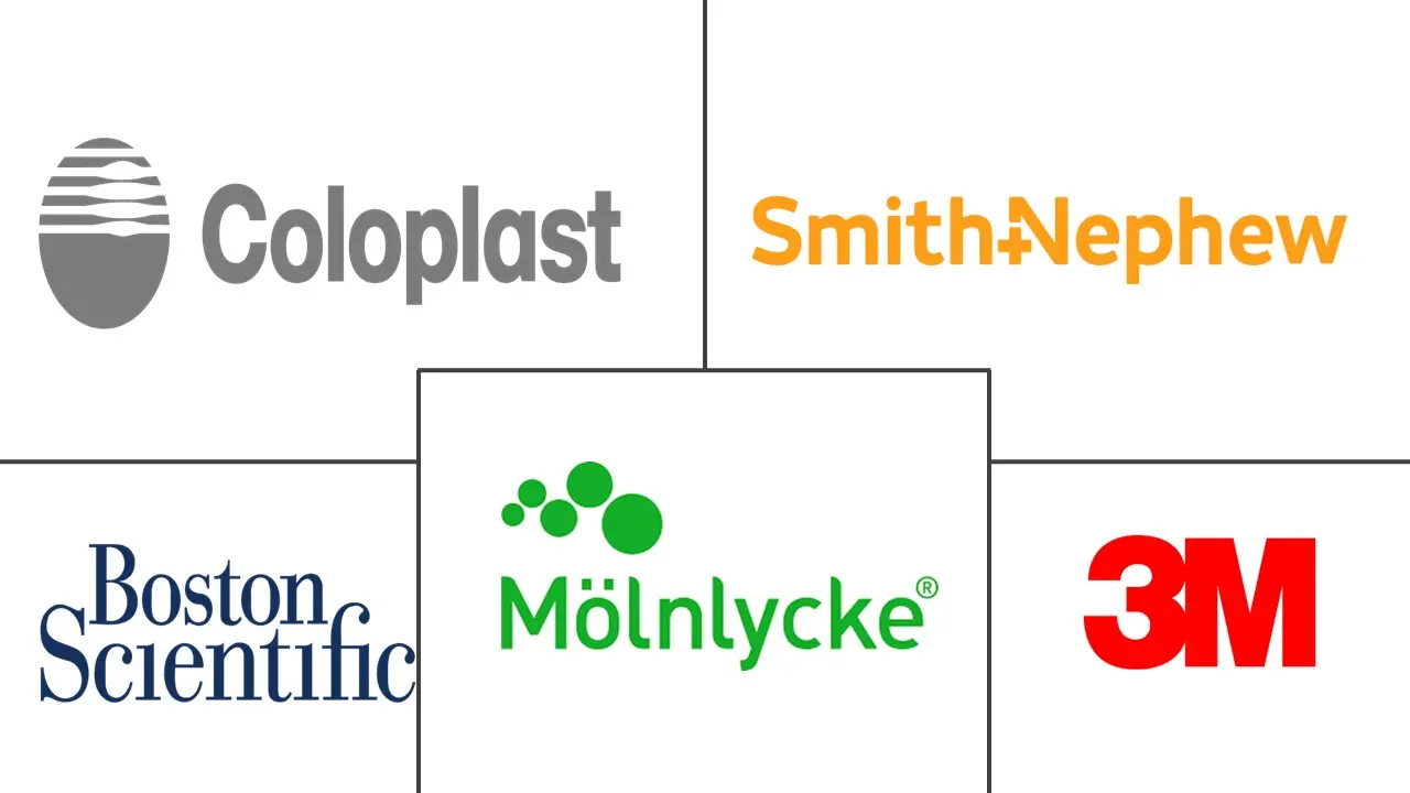 真空治疗设备市场规模