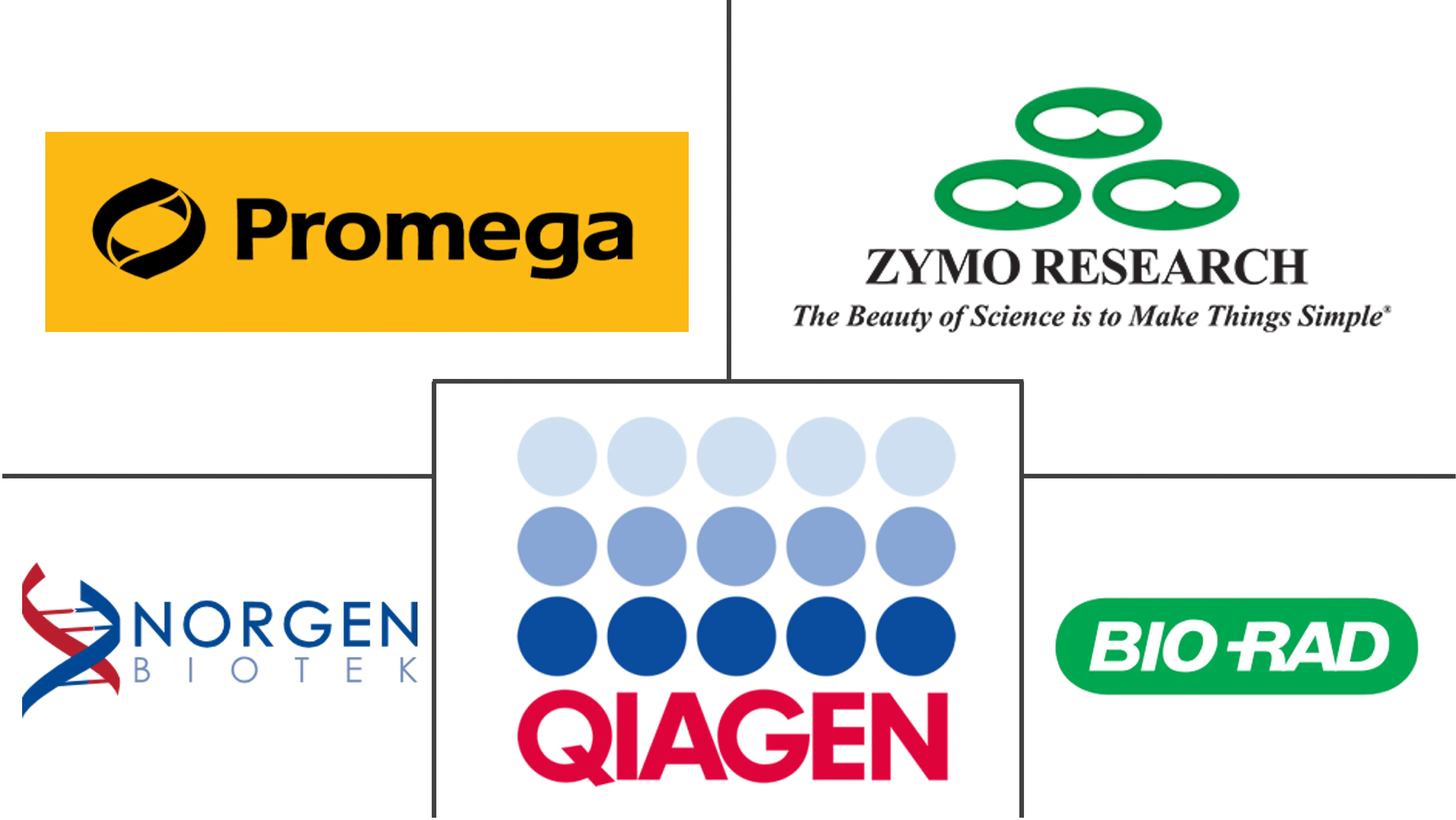 无细胞 RNA (cfRNA) 分析市场规模