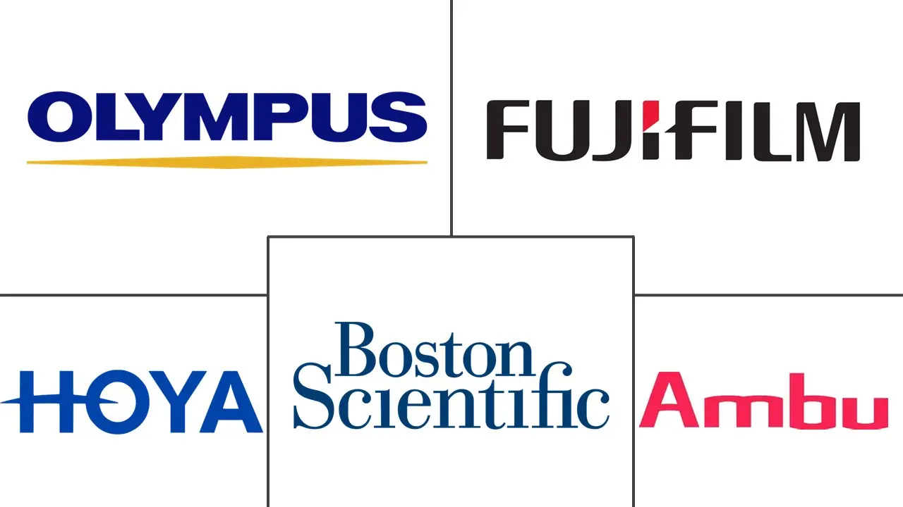 十二指肠镜市场规模和份额