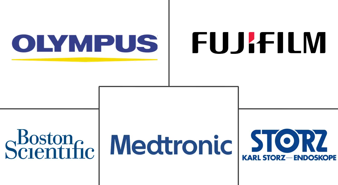 墨西哥内窥镜设备市场规模和份额