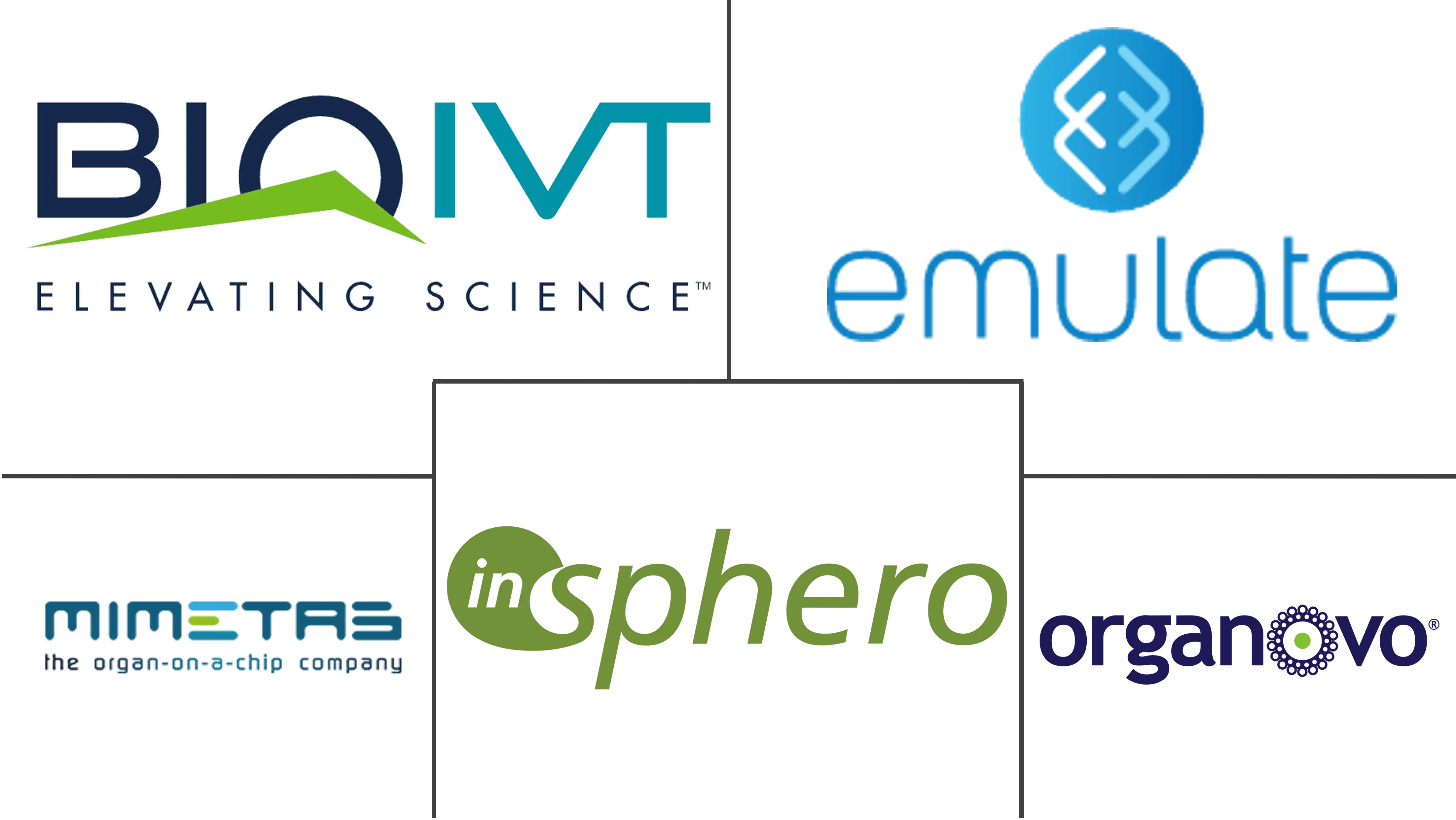 人类肝脏模型市场规模