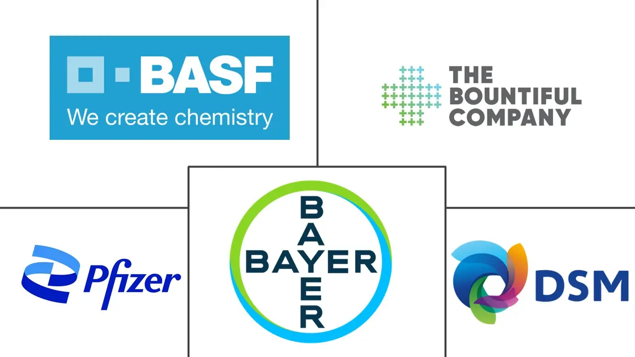 维生素缺乏症治疗市场规模和份额