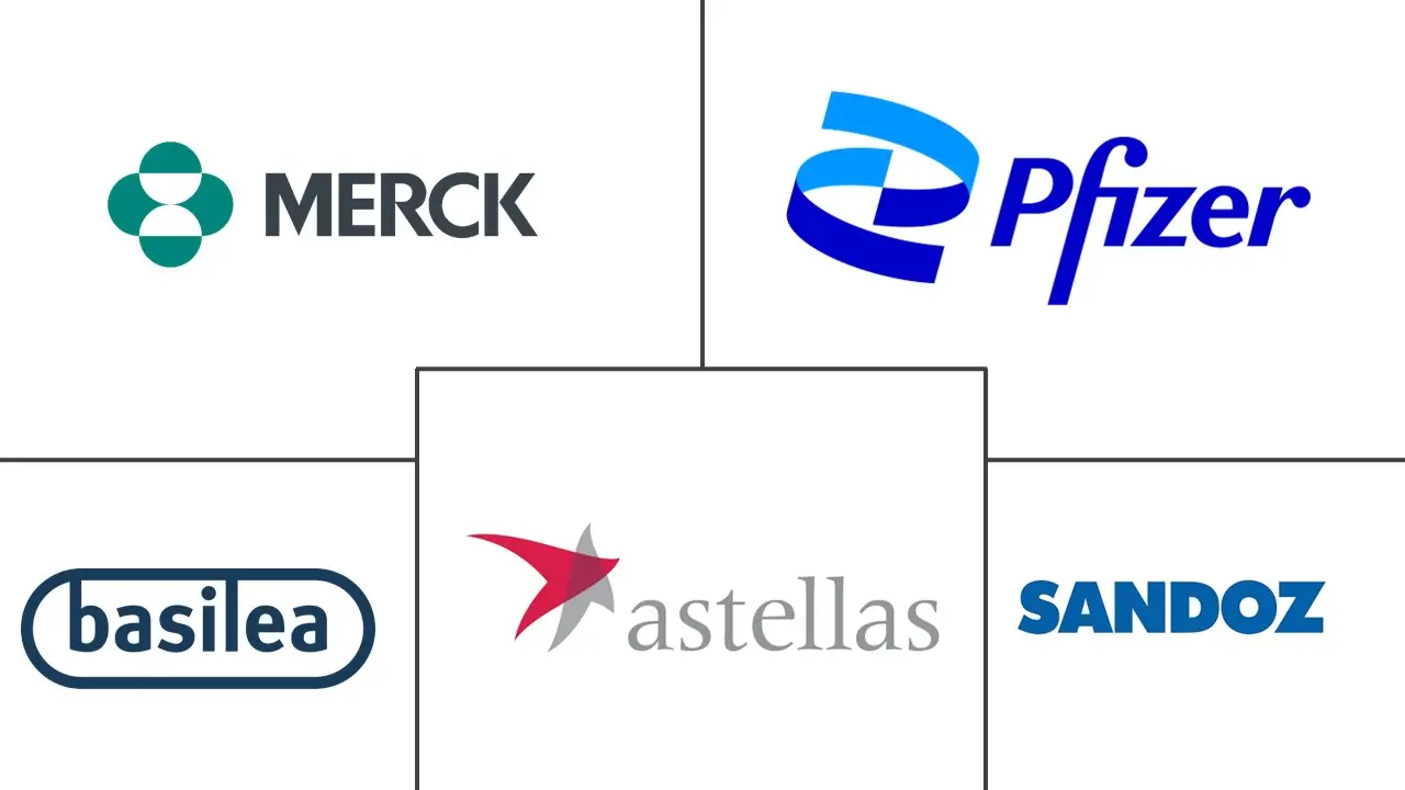 曲霉病治疗市场规模和份额