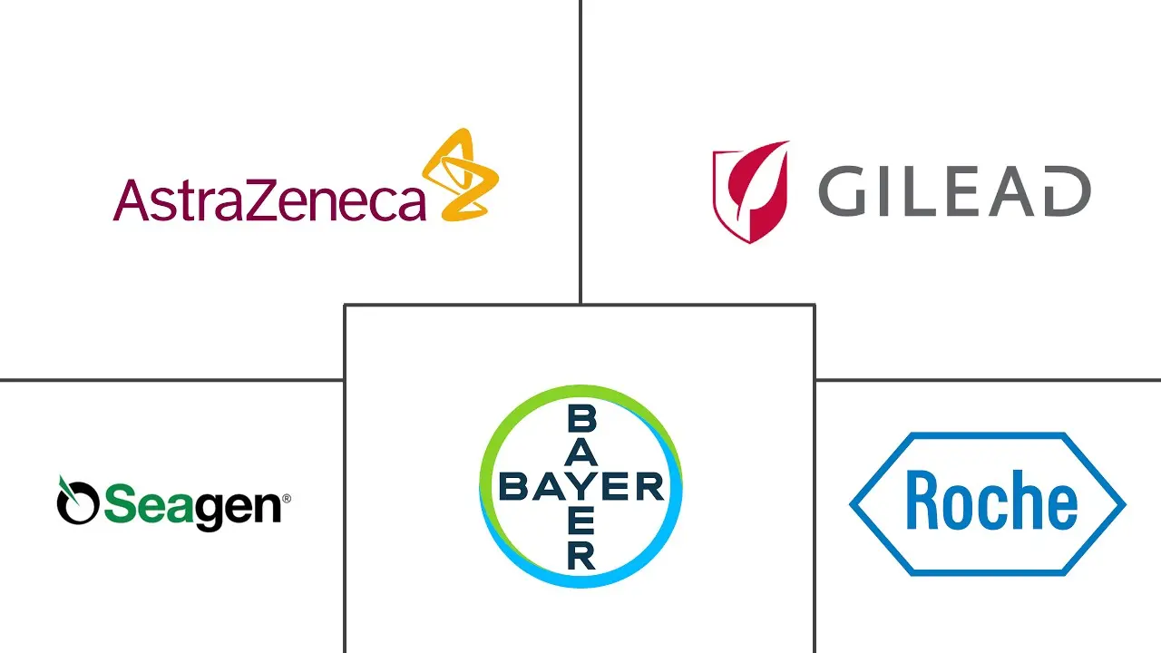 非霍奇金淋巴瘤治疗市场规模和份额