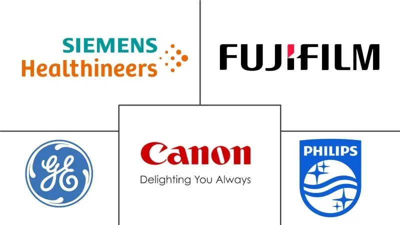 欧洲数字 X 射线市场规模