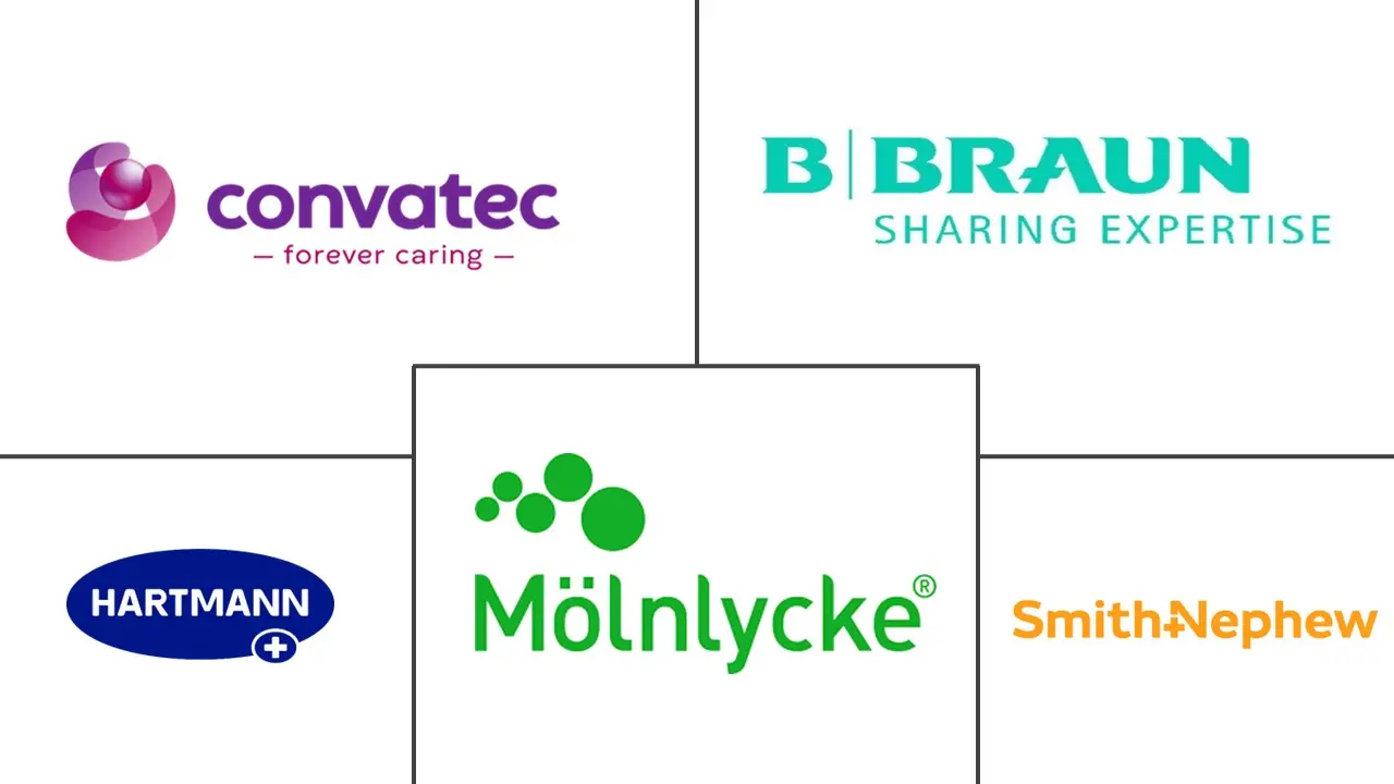 伤口清创市场规模和份额