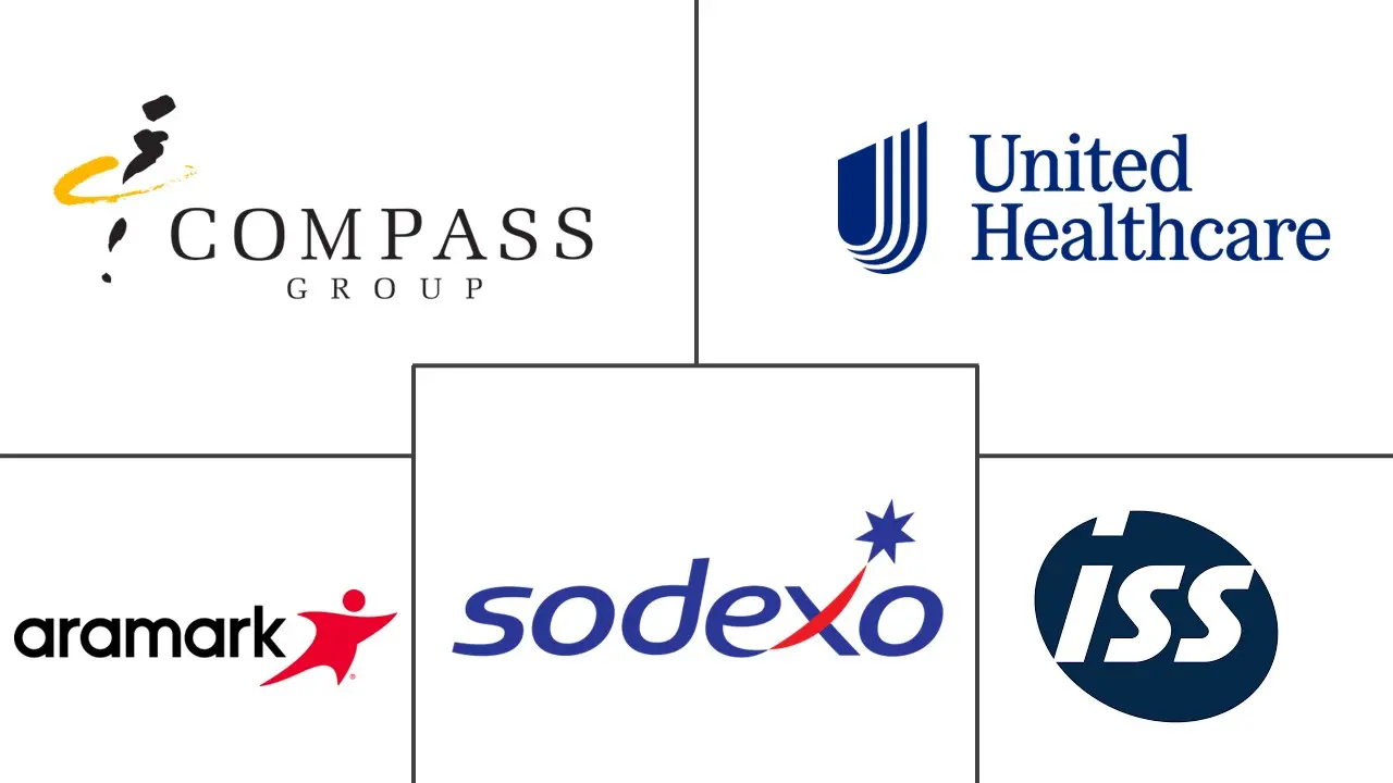 医院外包市场规模及份额