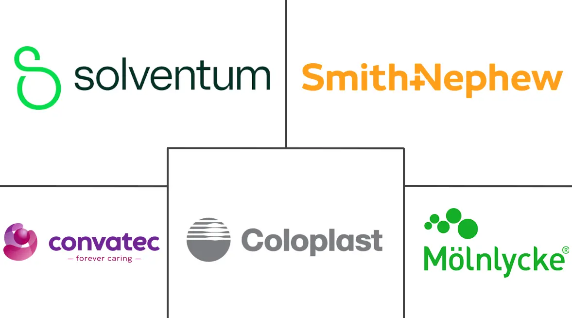 糖尿病足溃疡治疗市场规模和份额