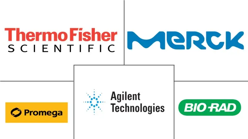 表达载体市场规模