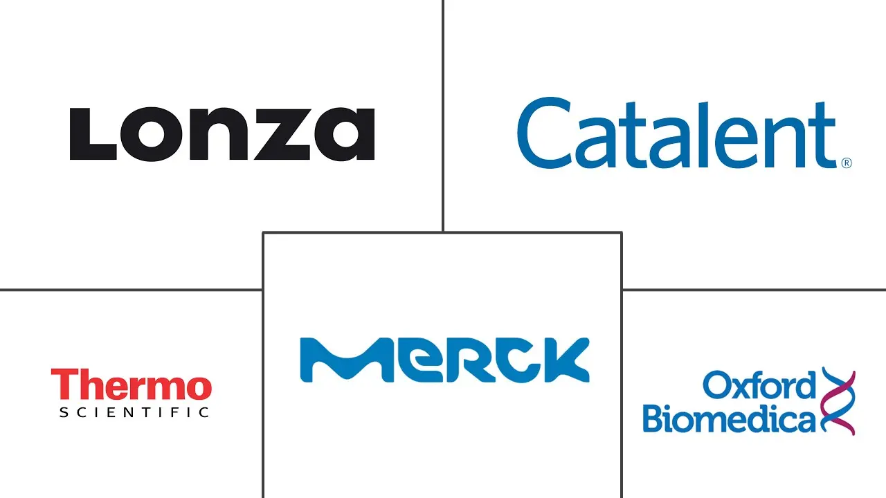 基因载体市场规模和份额