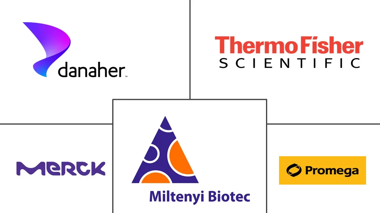 磁珠市场规模和份额