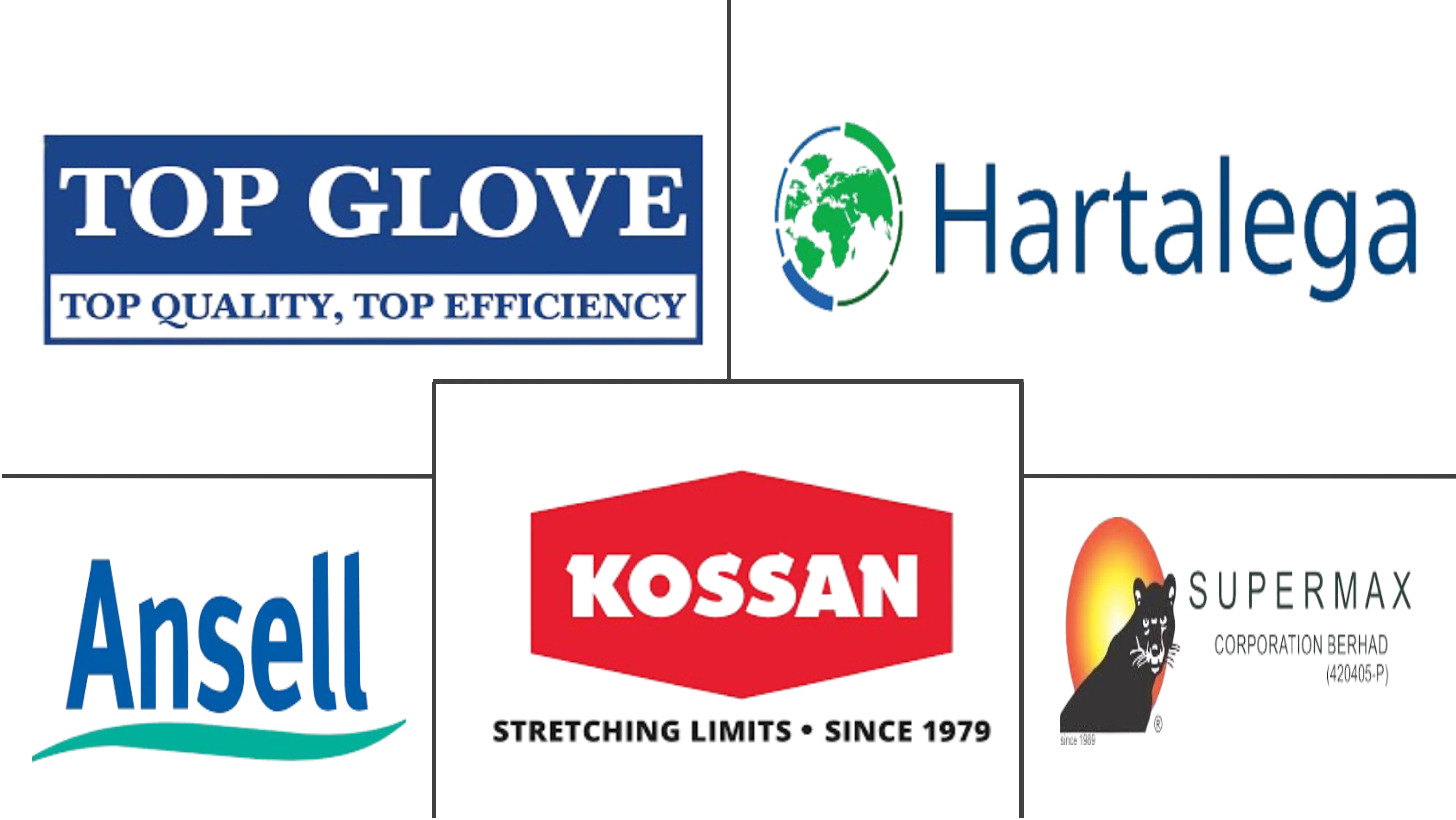 医用手套市场规模和份额