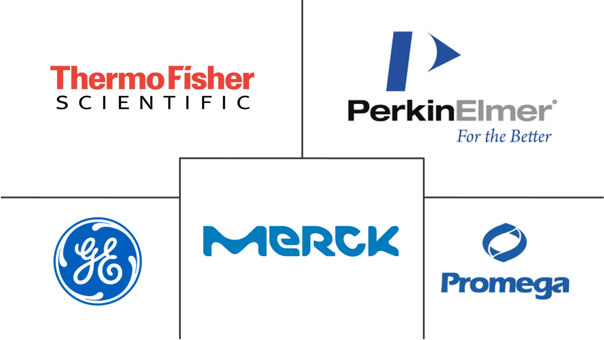 核酸标记市场规模及份额