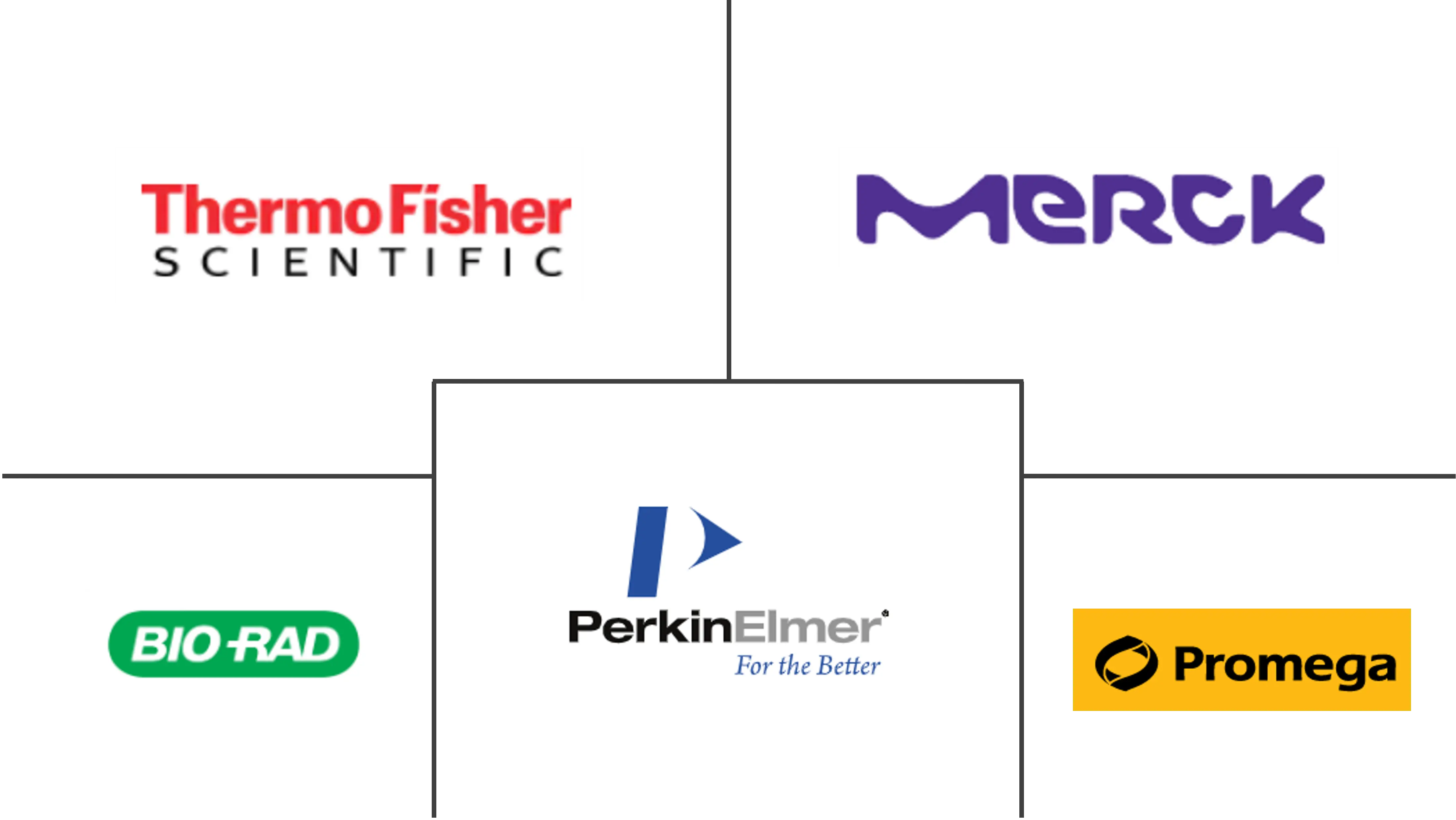 报告基因检测市场规模和份额
