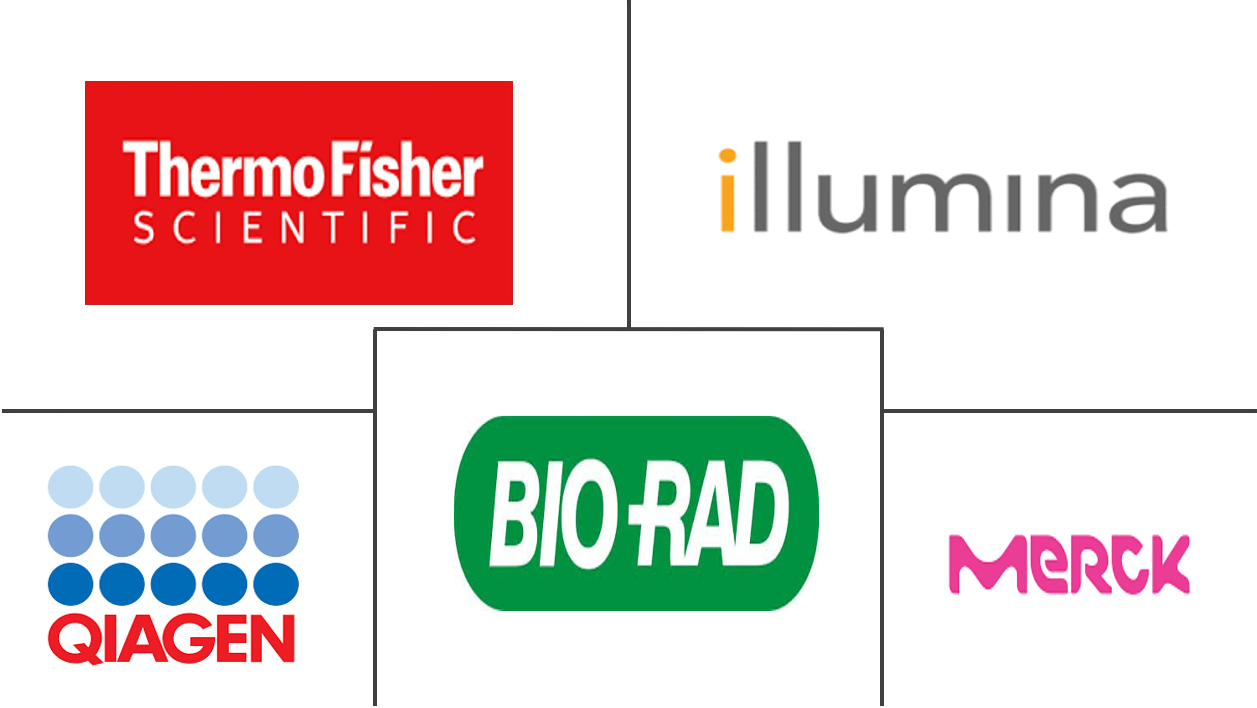 MicroRNA 生物标志物市场规模和份额