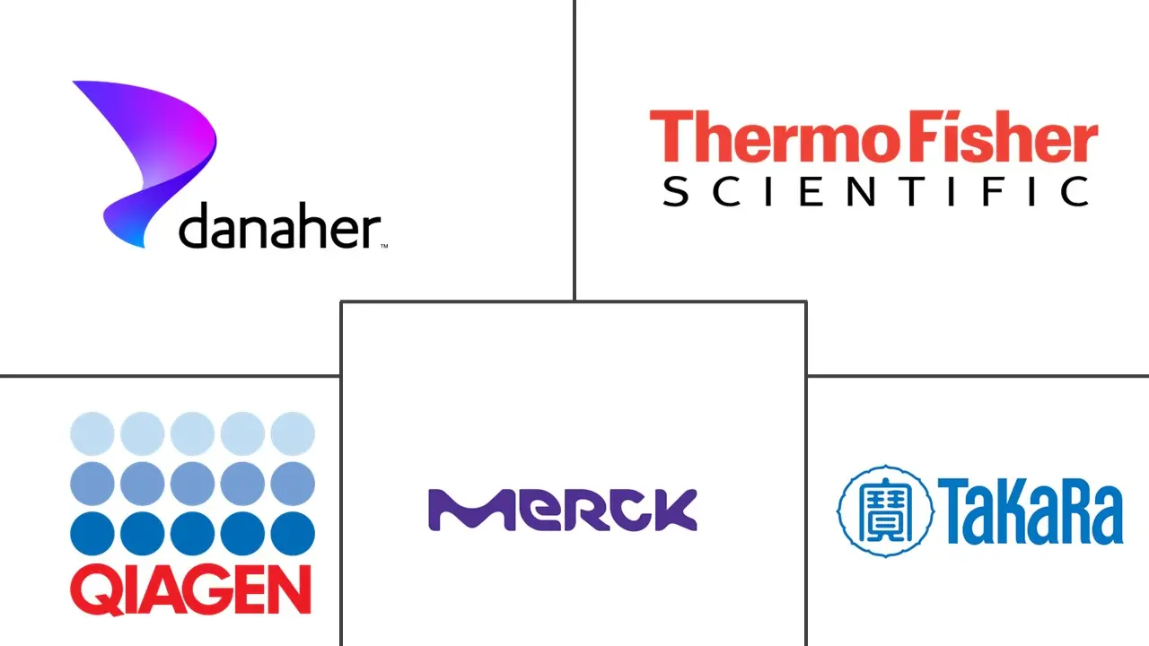 质粒纯化市场规模和份额