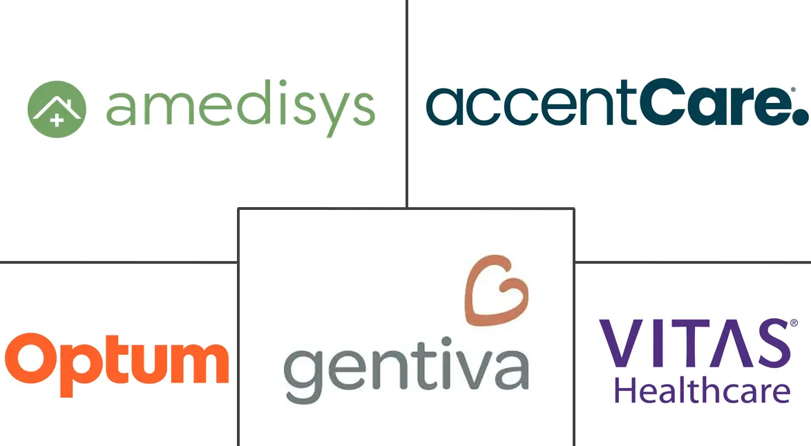 临终关怀市场规模和份额