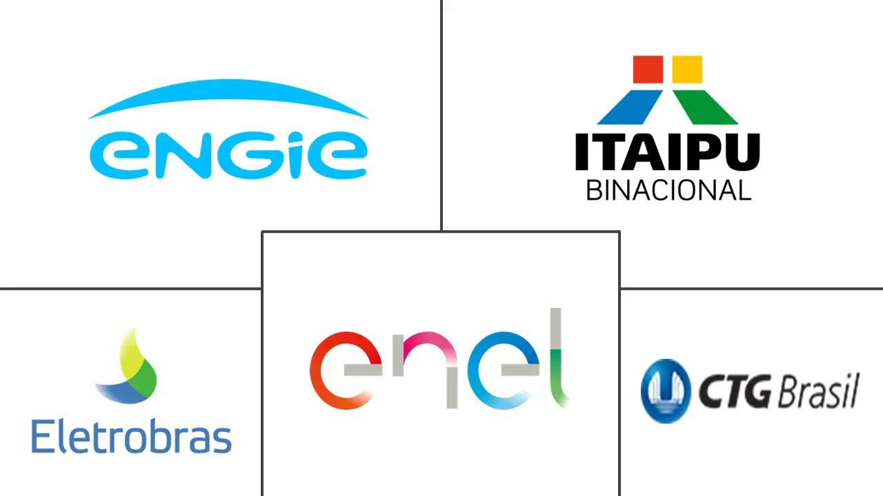 南美水电市场规模及份额