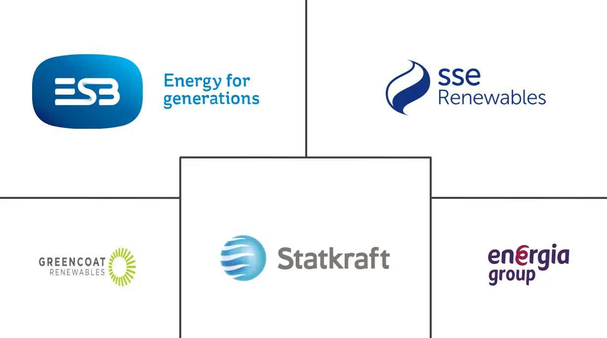 爱尔兰共和国可再生能源市场规模和份额