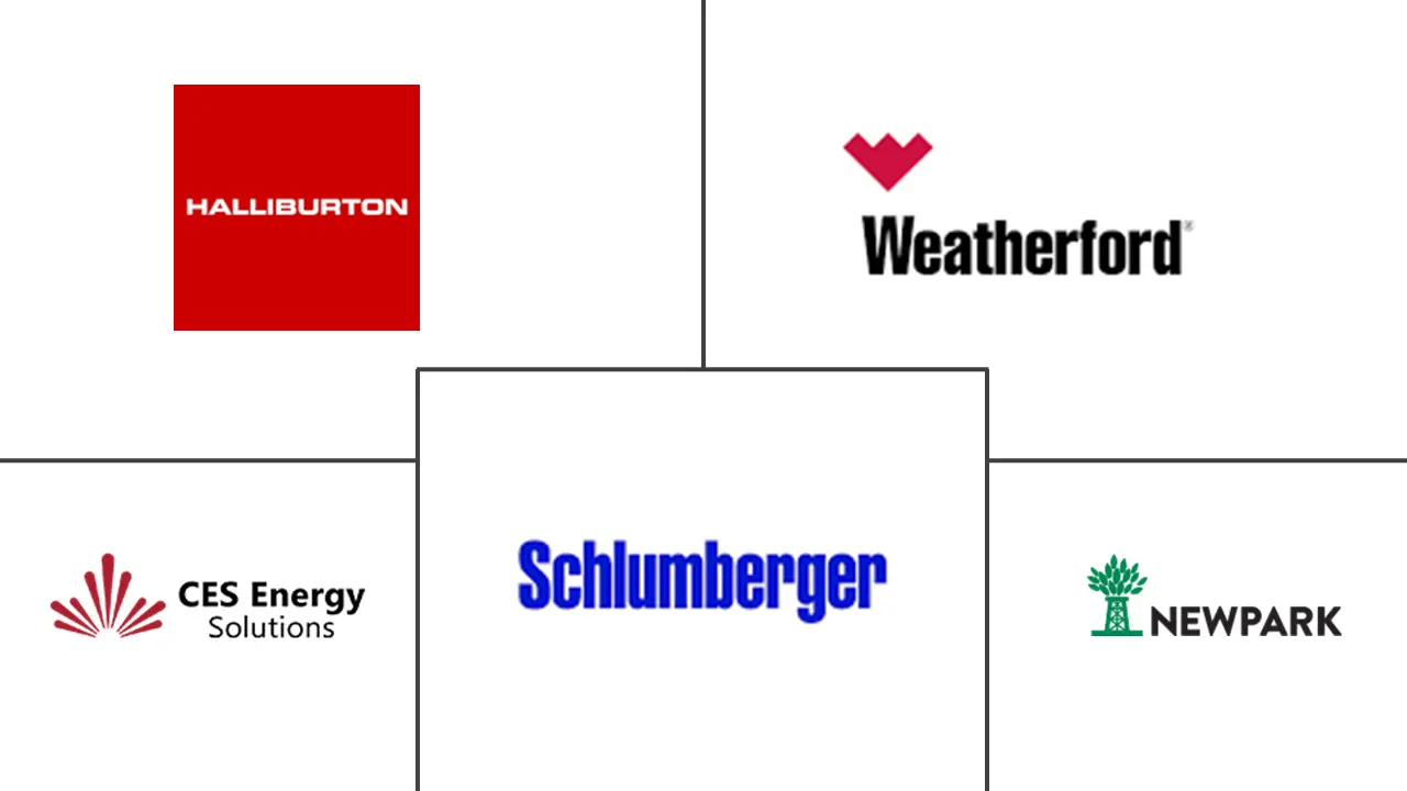 钻井和完井液市场规模